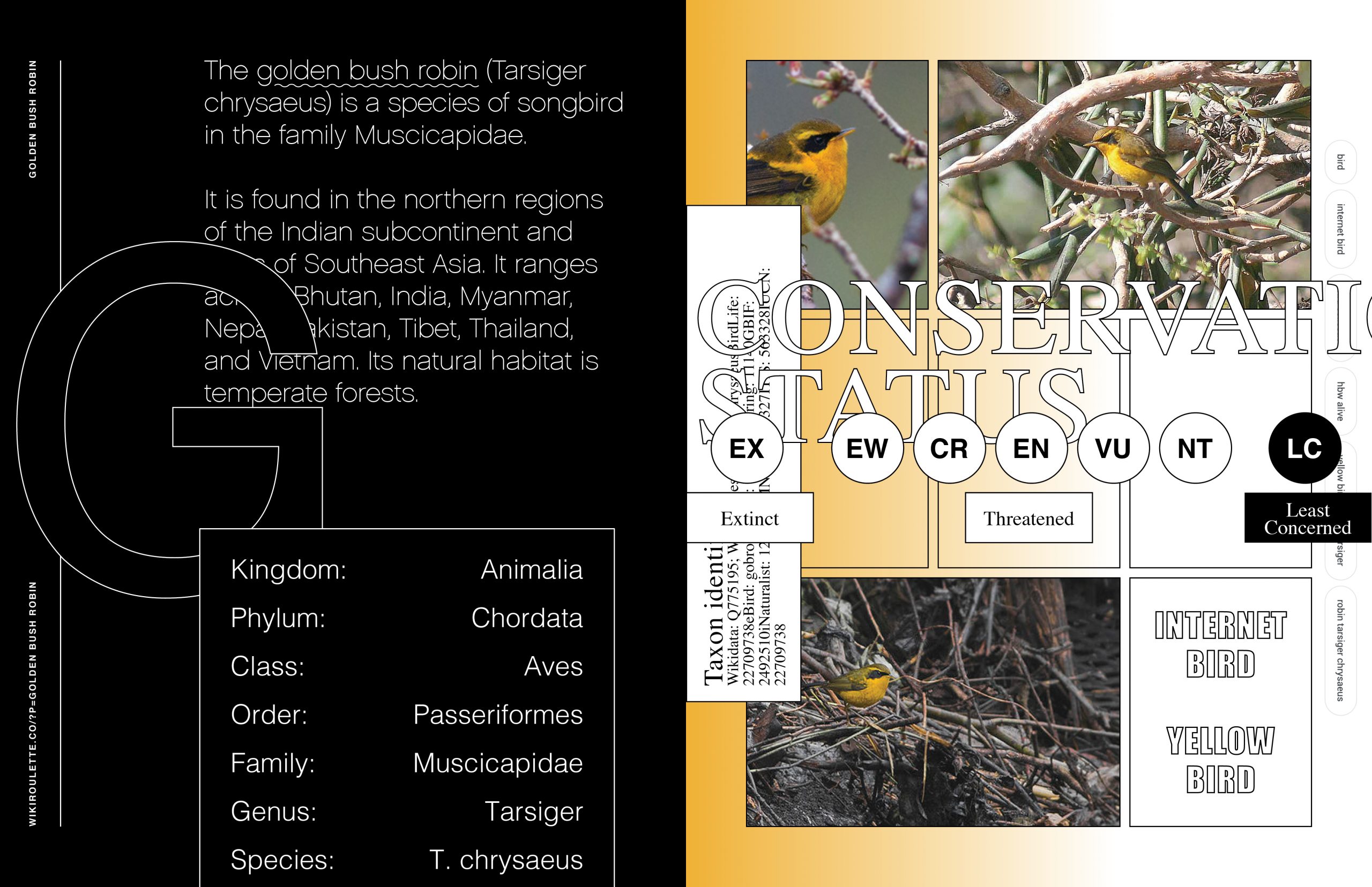 The Compendium of Unnecessary Knowledge