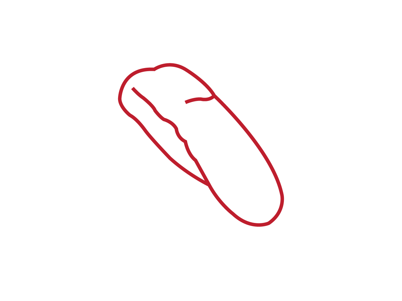offal_parts_3