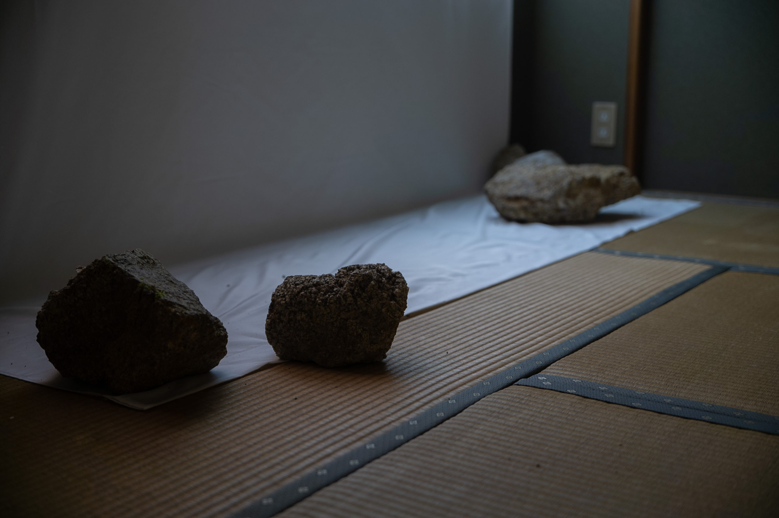 SDIM0217